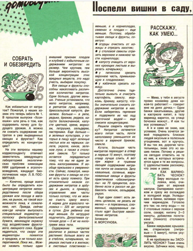 фрагмент страницы  журнала "Крестьянка" 8/1989