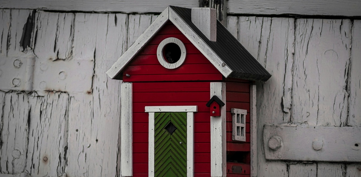 Фото на обложке: Marek Bukovan/Unsplash