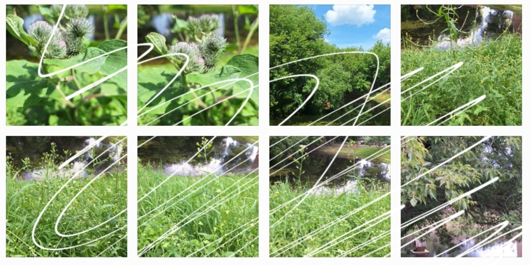 Фотоколлаж - собственность автора канала.