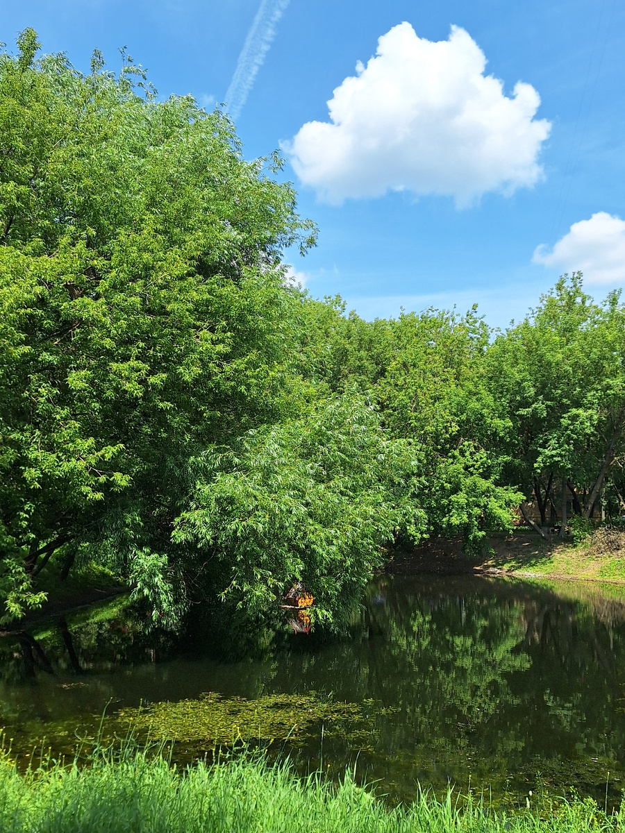 Фото - собственность  автора канала.