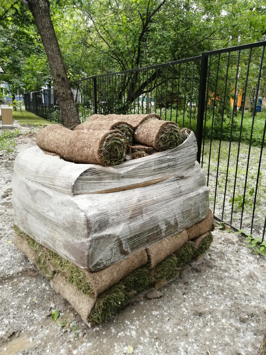 Рулонный газон, так его привозят на объект