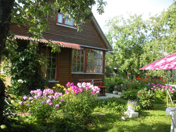 Картинка из интернета