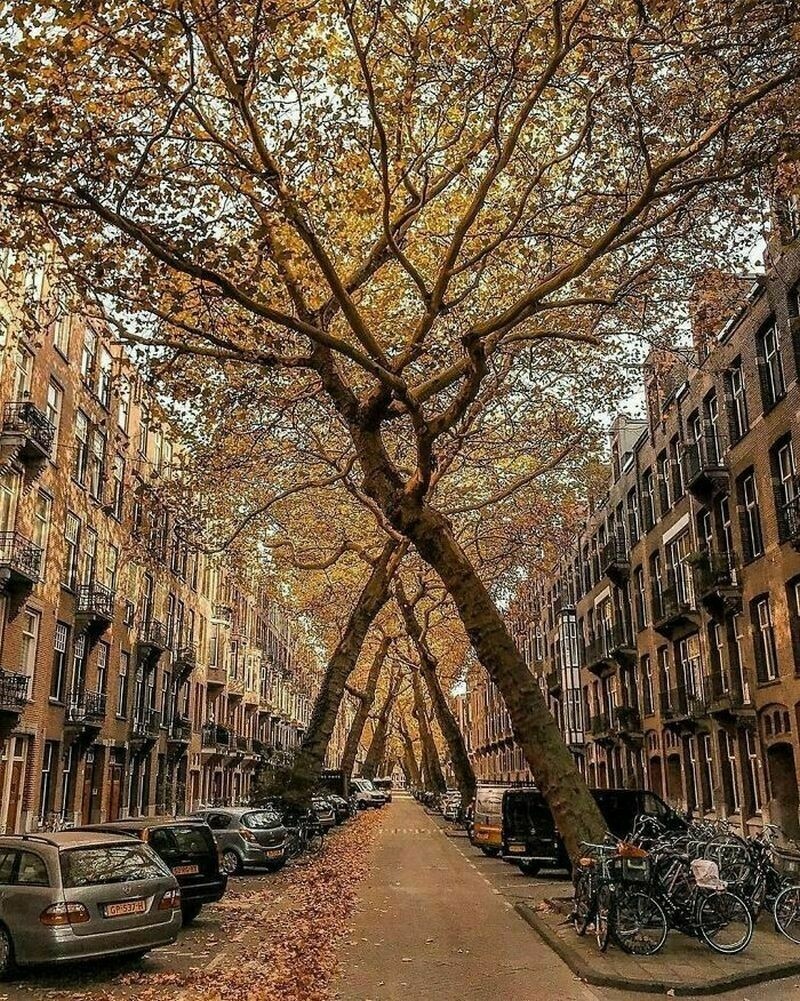    14   ,   ―      