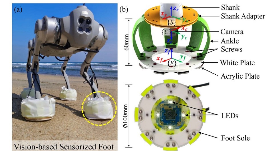   Guowei Shi et al. / IEEE Robotics and Automation Letters, 2024