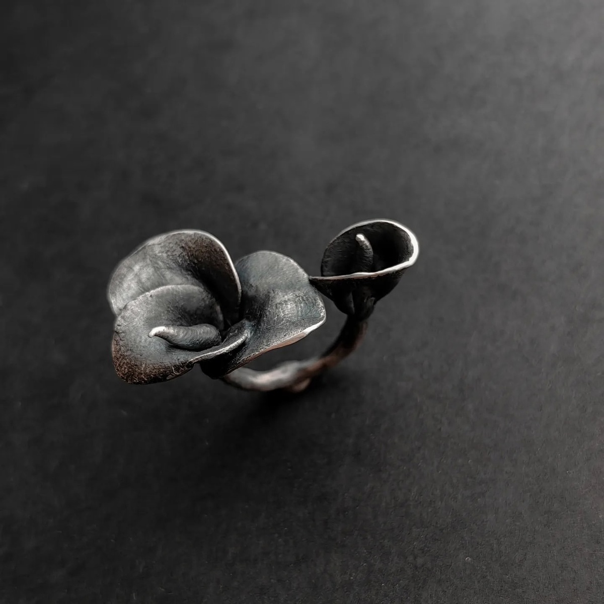 Фото: vk.com/sisubbotina