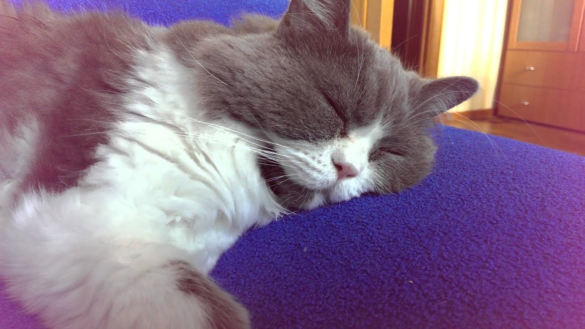 Фото из Интернета. 