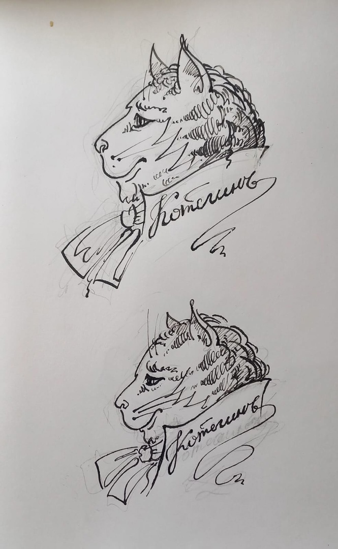 иллюстрации художницы Ольги Вертей.