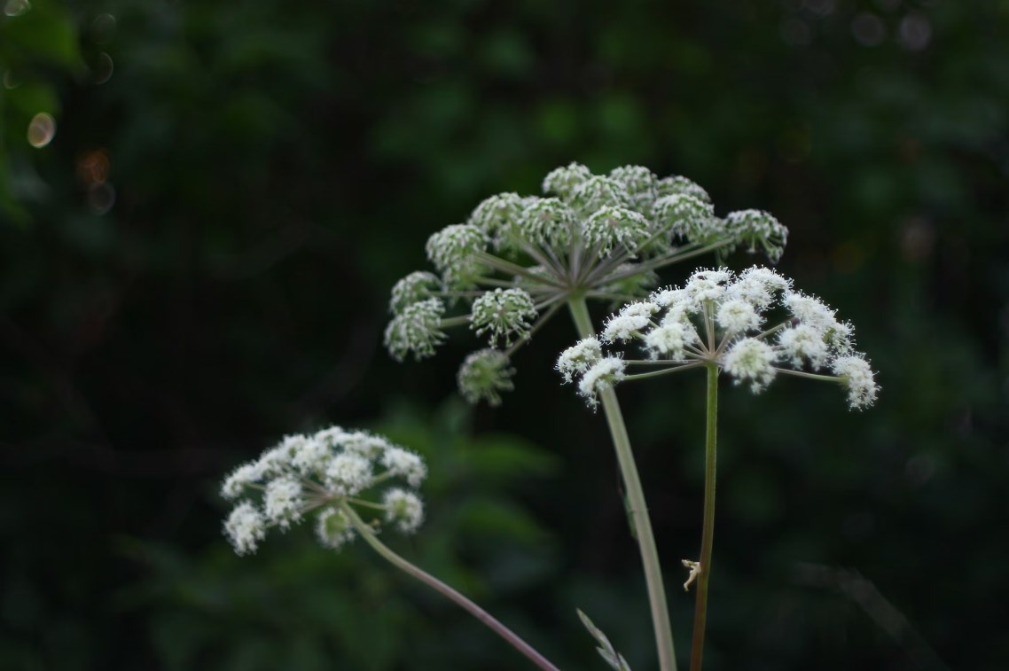 Фото unsplash.com