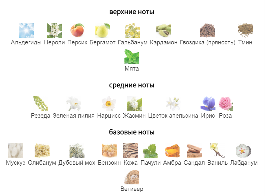 Пирамида с .fragrantica.ru
