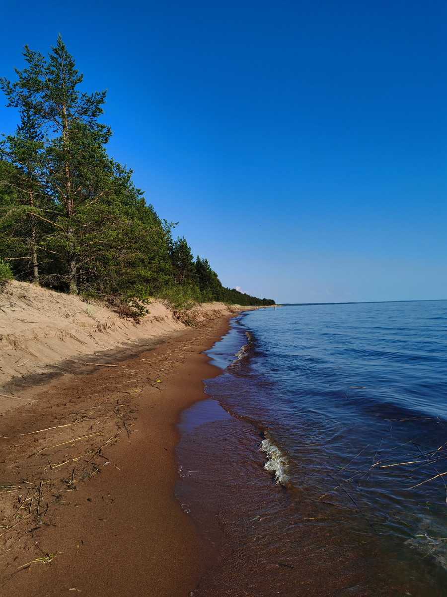Так выглядит берег в 2024 году. Воды много, пляжа почти нет. 