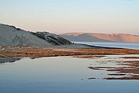 Пустынный берег