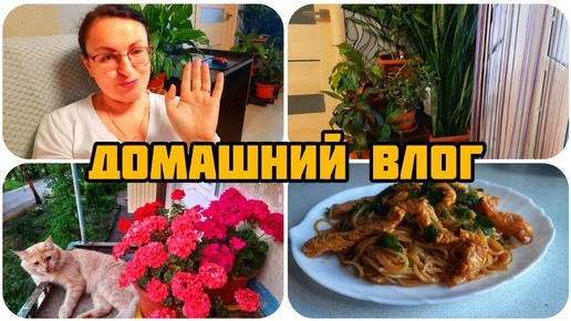 ПЕРЕСАДИЛА ЦВЕТЫ 🌺 ИНДЕЙКА В СОУСЕ ТЕРИЯКИ 🍗 ДОМАШНИЙ ВЛОГ 🐈