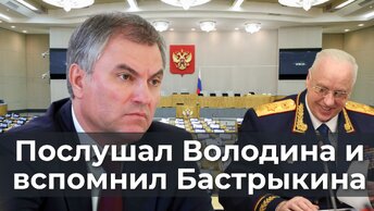 Послушал Володина и вспомнил Бастрыкина