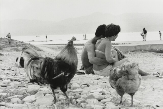 Сен-Тропе, 1960. Фотограф Анри Картье-Брессон 