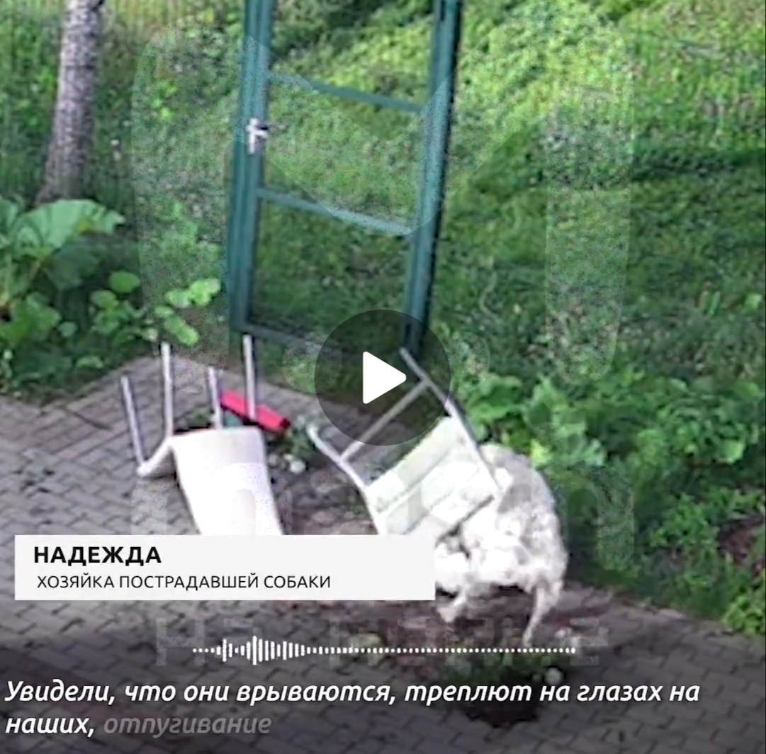 скрины с видео с телеграм канала