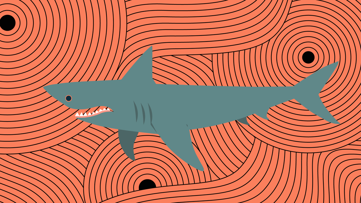 Поднять плавники!