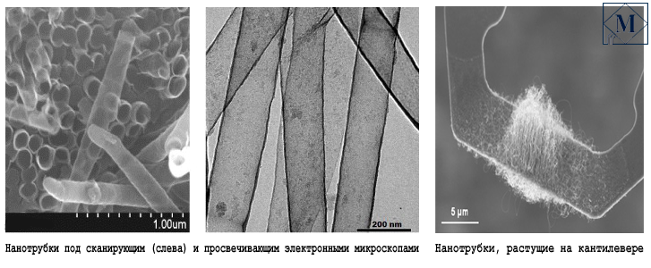 Изображение взято из свободного источника Яндекс.Картинки.