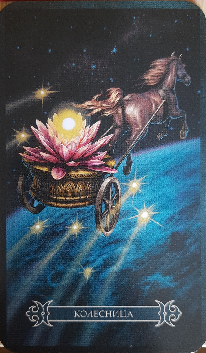 фото ЕлВита