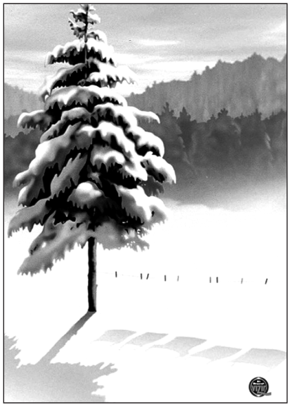 Стиральный порошок. Белые вещи настолько белые...