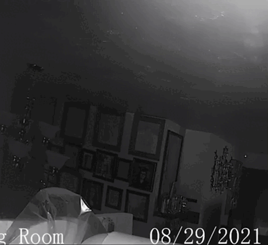 Автор не известен, кадры взяты из открытых источников.