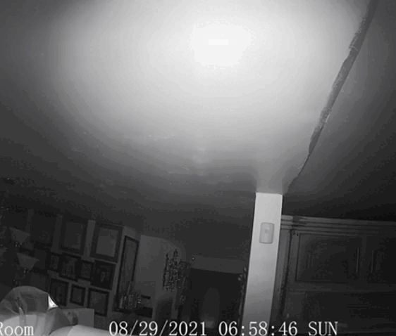 Автор не известен, кадры взяты из открытых источников.