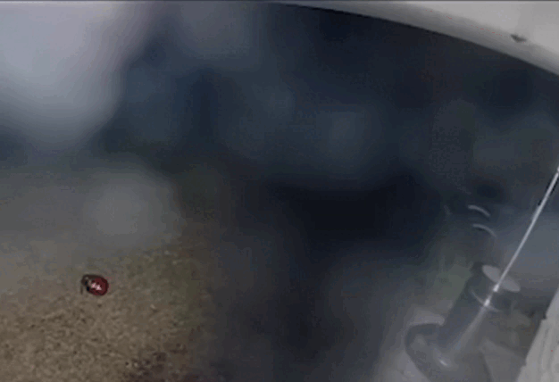 Автор не известен, кадры взяты из открытых источников.