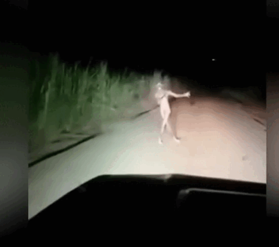 Автор не известен, кадры взяты из открытых источников.