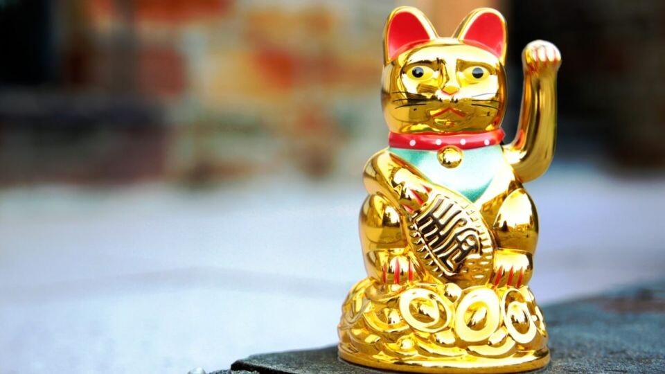    Удача. Гороскоп. Источник: Фото: pixabay.com