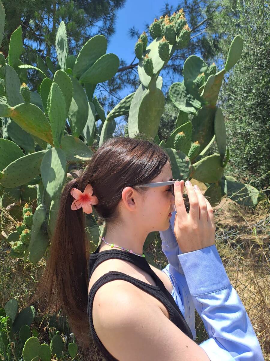 Вид после  поисков удачного ракурса