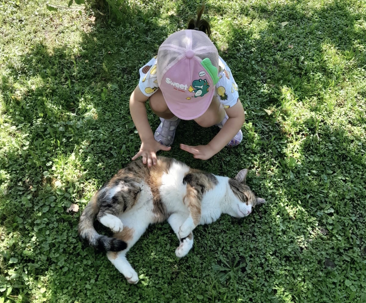 А еще на даче дочка испытывает терпение соседской кошки 😼