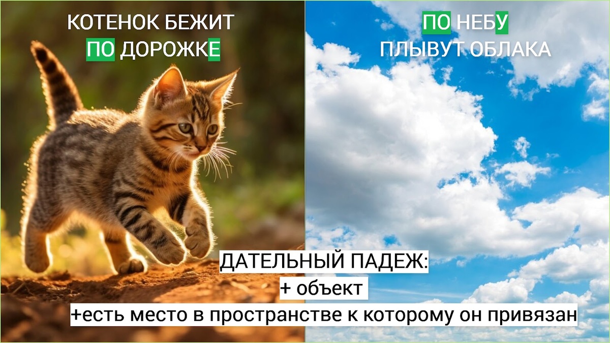 фото от freepik.com