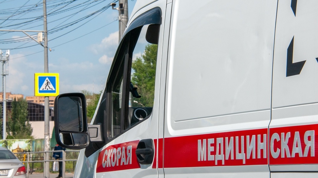    Svetlana Vozmilova/Globallookpress