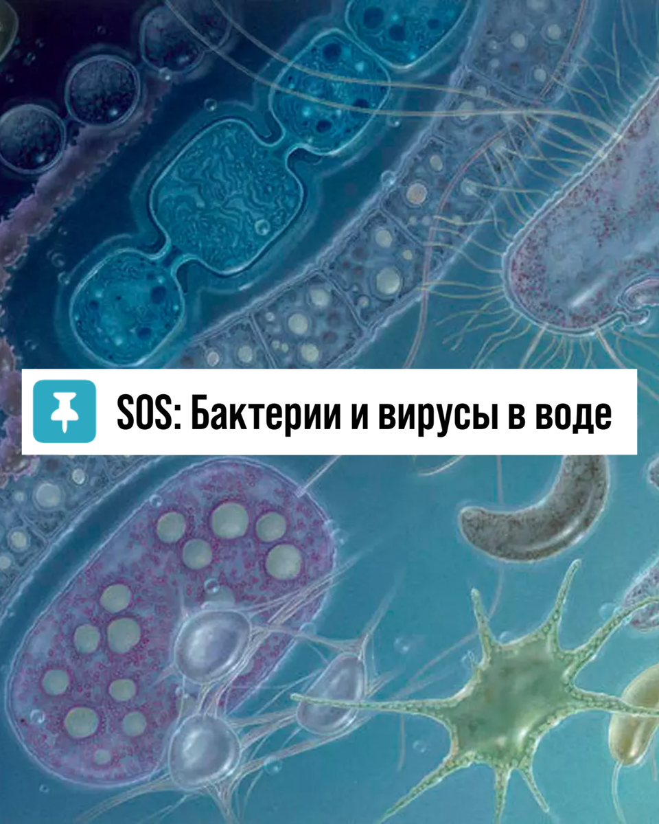 SOS: бактерии и вирусы в воде | Ecvols - системы очистки воды | Дзен