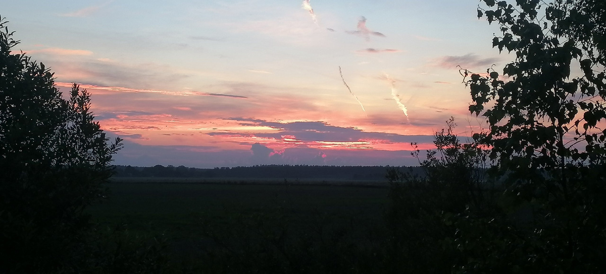 Волоколамский р-н, д. Фадеево.