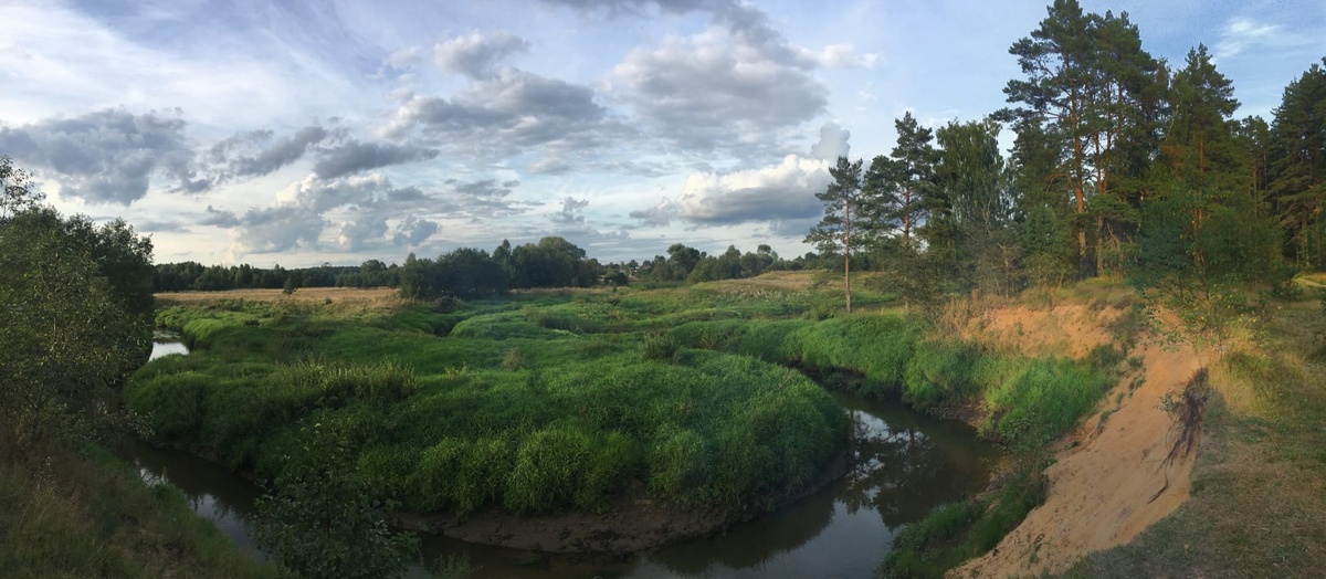 Широкий простор лесного массива с сочетанием речного воздуха, приятно для отвлечения от городской суеты...
