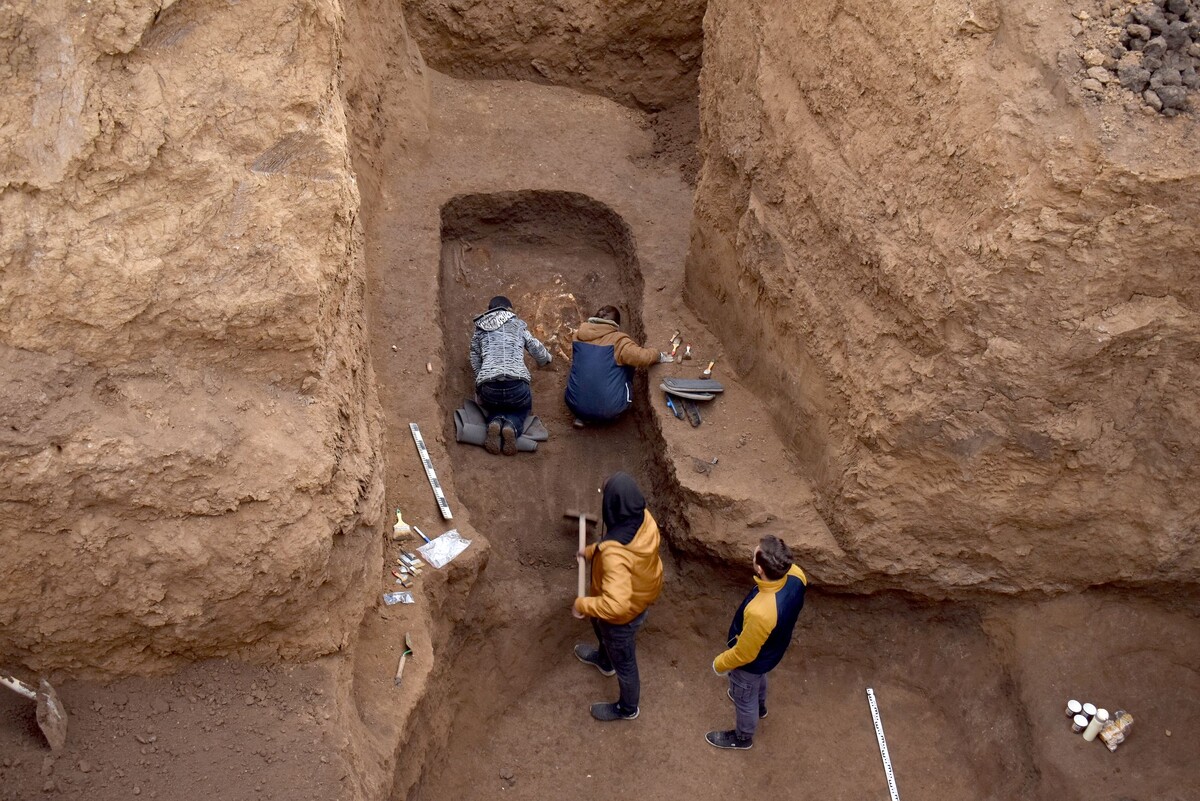 Взято из свободного доступа интернет