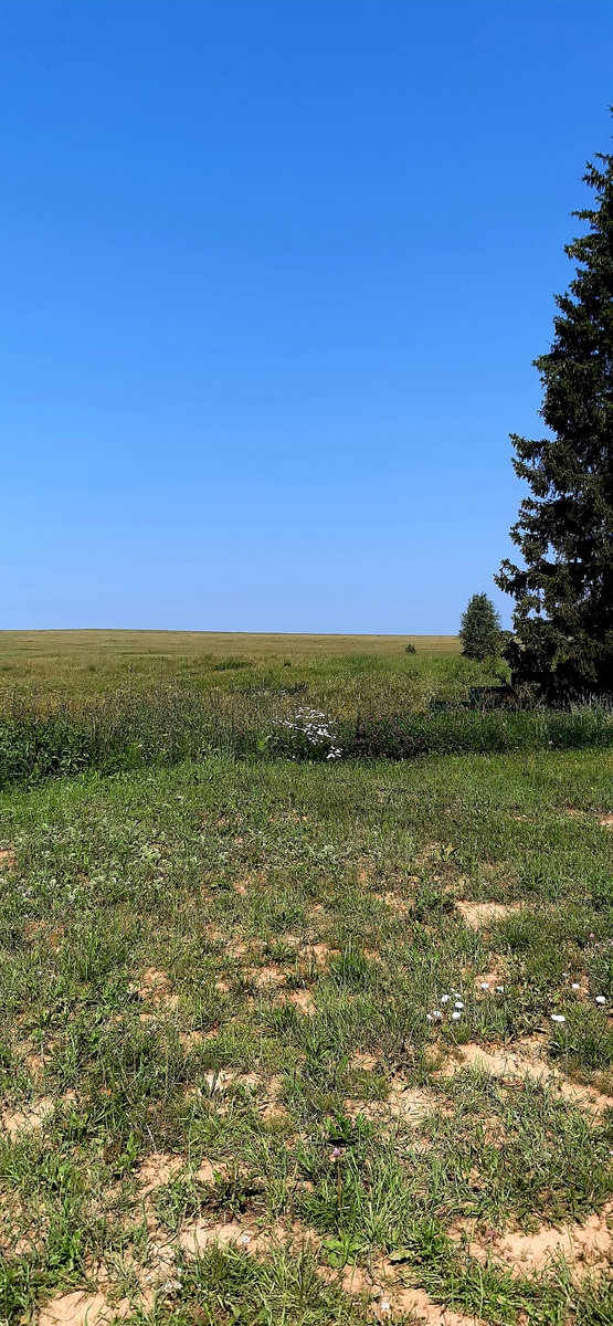 Глаз радуется смотреть на эти просторы