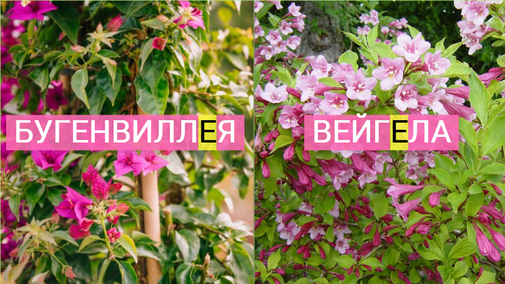 фото от freepik.com