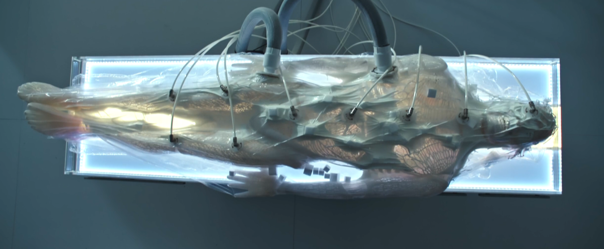 Доп. материалы к "Чужой: Завет" - "Знакомьтесь, Уолтер"