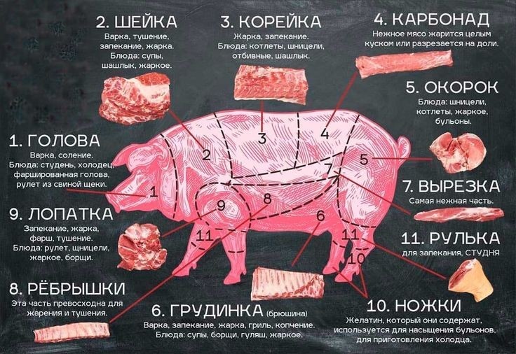 Схема свиной туши