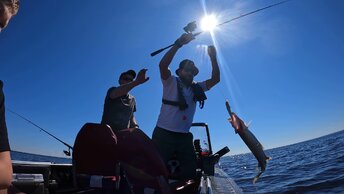 Такой кайф... Рыбалка троллингом на Кубенском озере #рыбалка #троллинг #кубенскоеозеро #рыбалка2024
