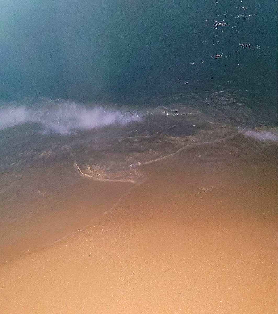 Ночное море