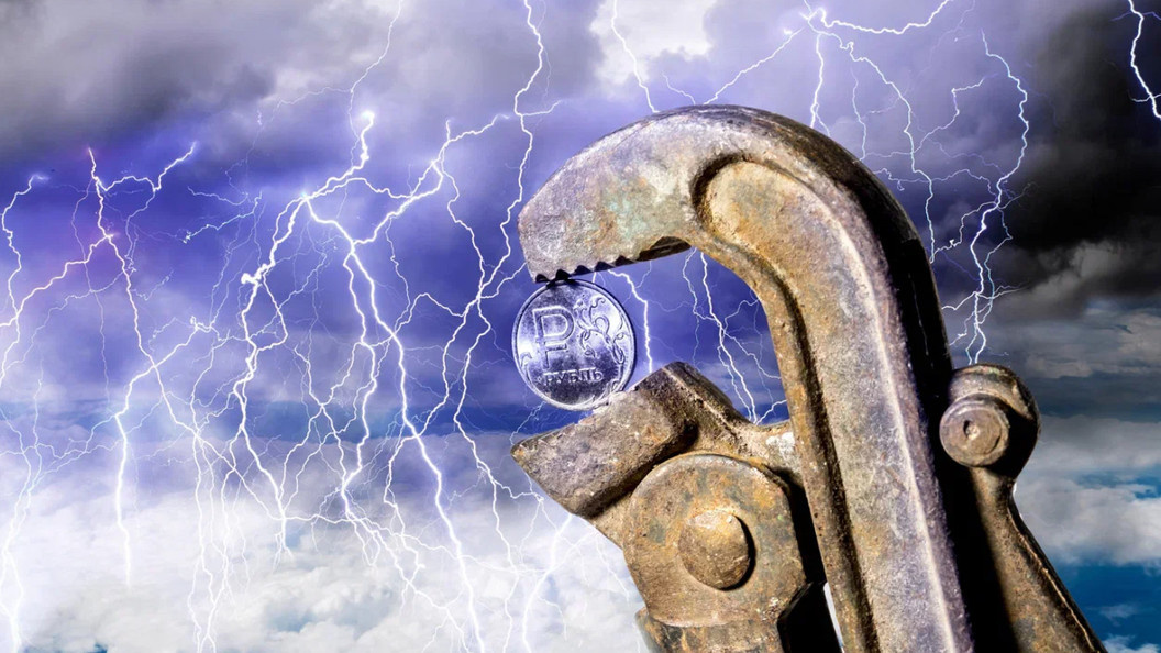    ANTON KUDELIN/SHUTTERSTOCK