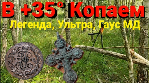 Коп в +35, с Легендой, Ультра, Гаус МД, лес, монеты,крестики старая деревня, слепни, овады, комары просто жесть