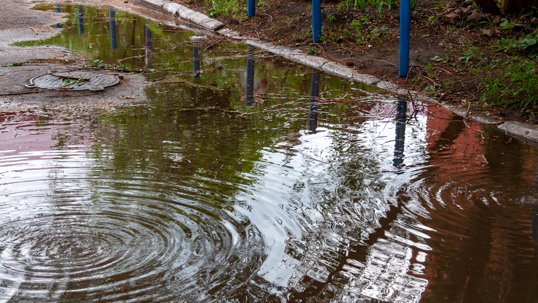    Фото: Svetlana Vozmilova/Globallookpress