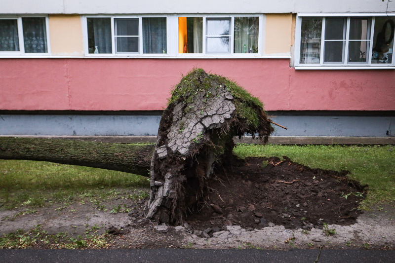    Фото: Artem Priakhin/Keystone Press Agency/Global Look Press