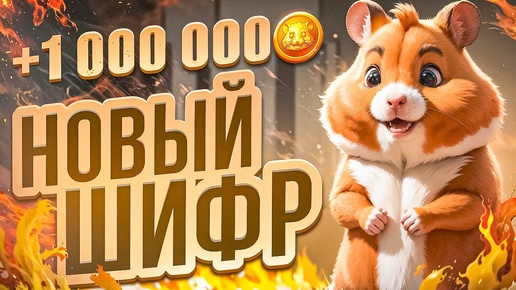 Новый ежедневный шифр в хамстер комбат