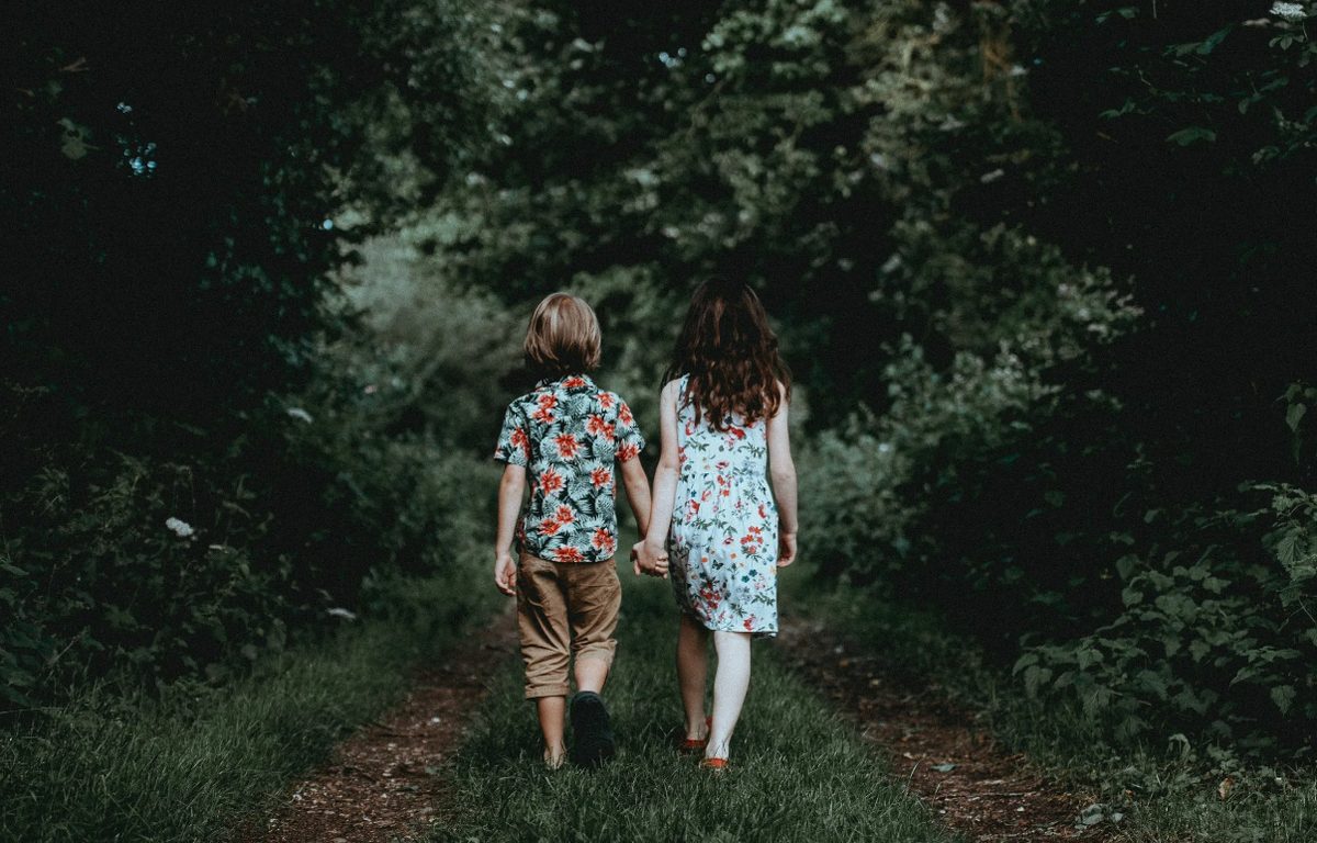 Яндекс картинки