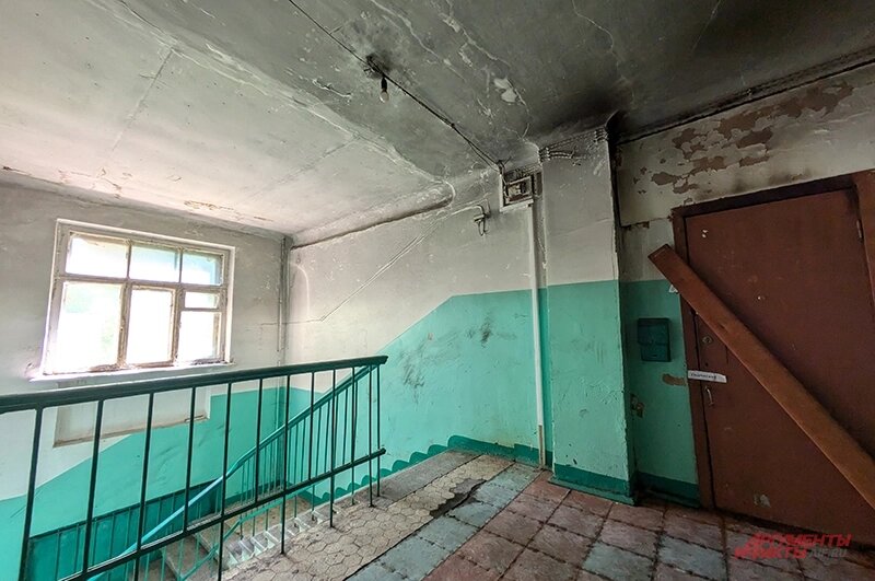    Фото:  АиФ/ Елена Краснова