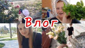 ‼️СРОЧНЫЙ ВОПРОС ‼️ВЛОГ🔥//ОТВЕТ АЛЬБИНЕ🤗//ИСТОРИЯ МОЕГО ИМЕНИ😆//КОФЕ В ПАРКЕ🤗//ЭТО ПРОВАЛ🤦‍♀️//